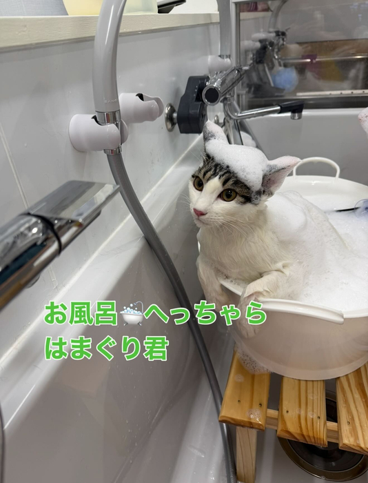 画像301