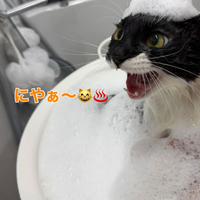 画像302