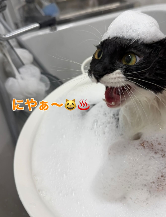 画像302