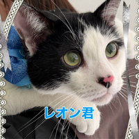 画像304