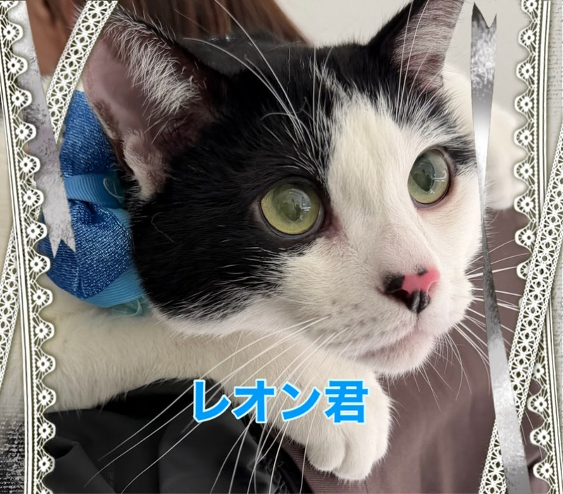 画像304