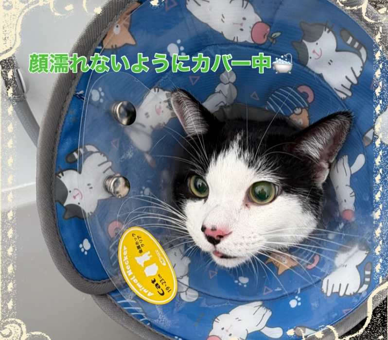 画像306
