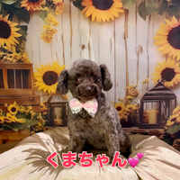 画像3074