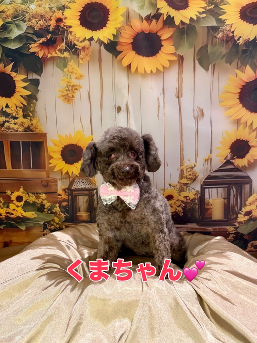 画像3074