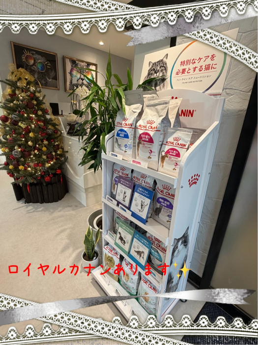 画像309