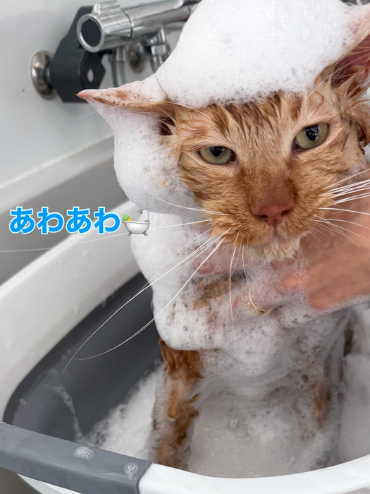 画像316