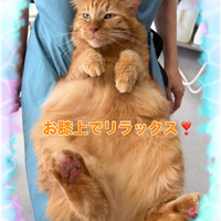 画像317