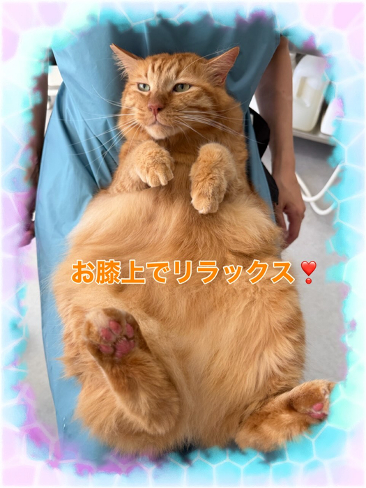 画像317