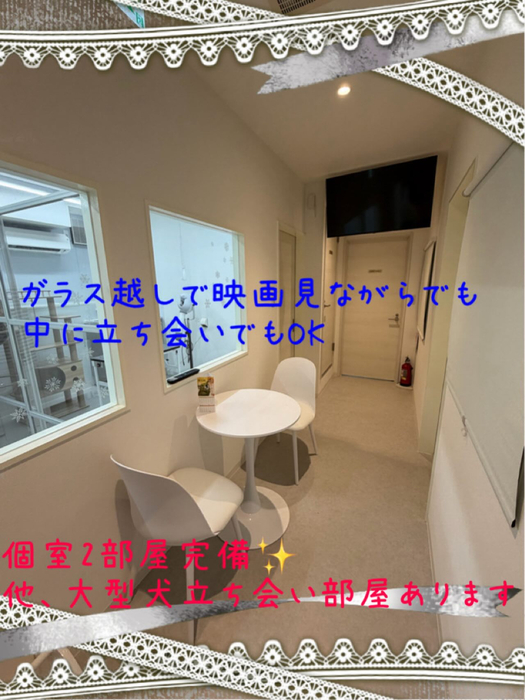 画像319