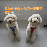 画像322