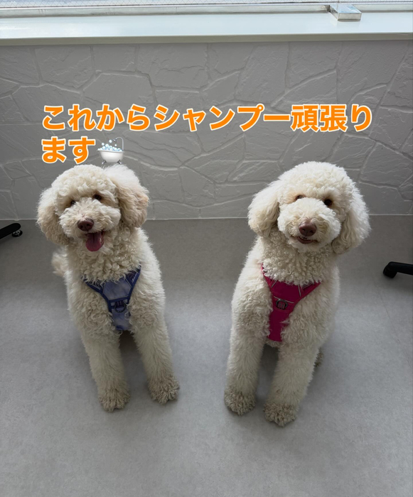 画像322