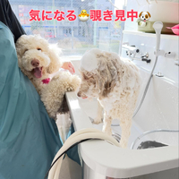 画像324