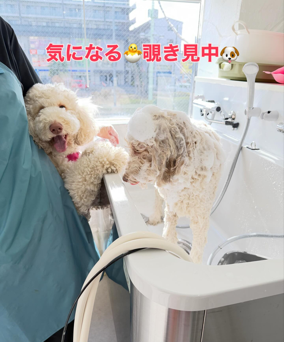 画像324