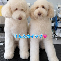 画像325