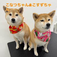 画像327