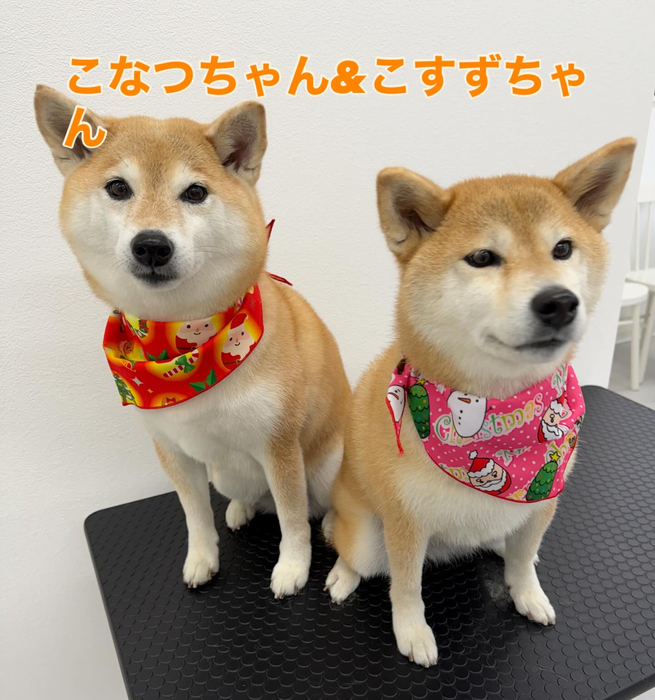 画像327