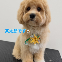 画像333