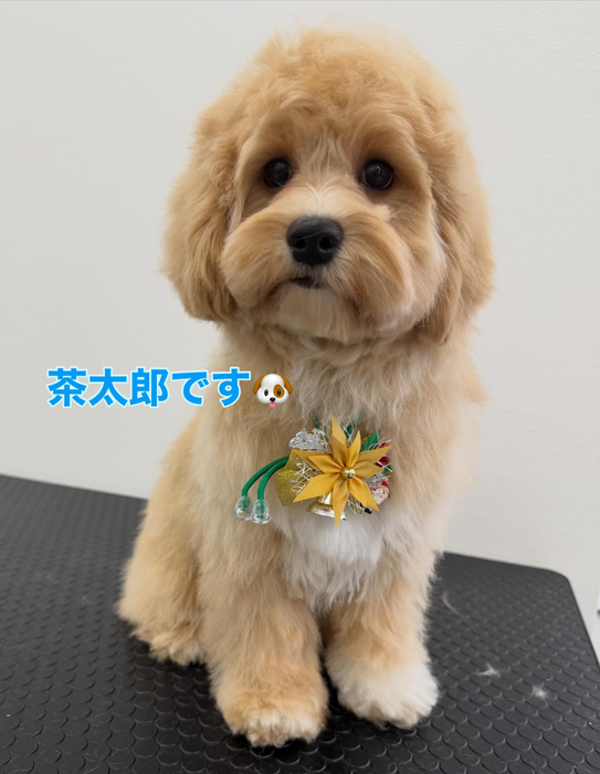 画像333