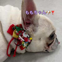 画像337