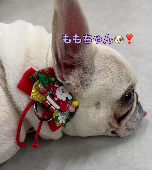 画像337