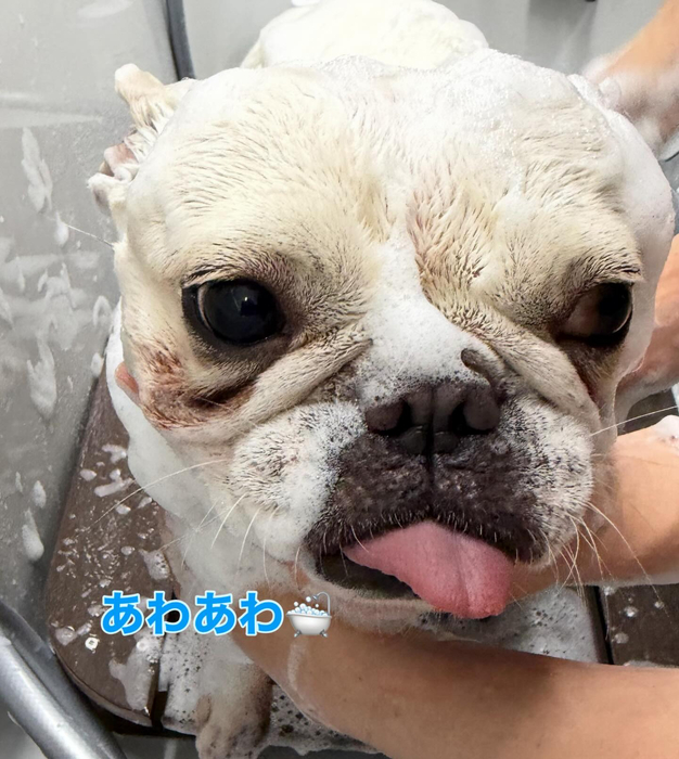 画像338