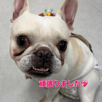 画像339