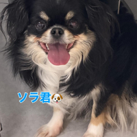 画像341