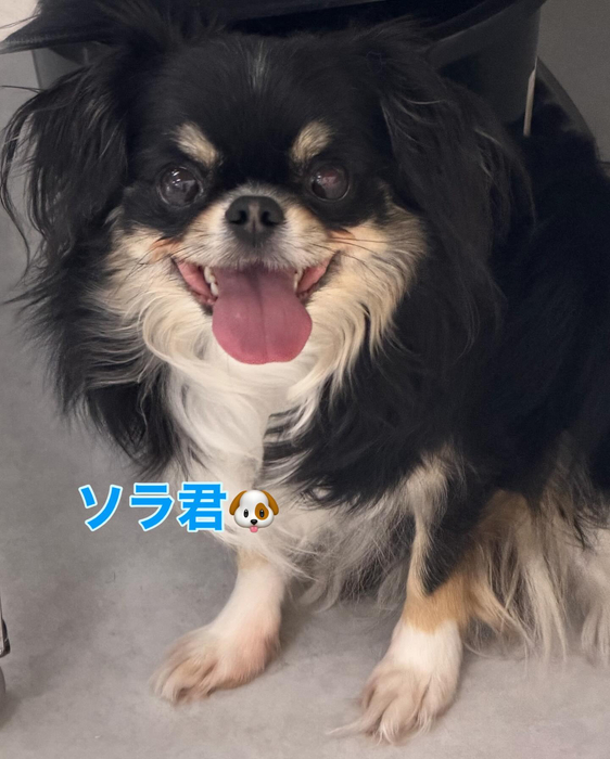 画像341