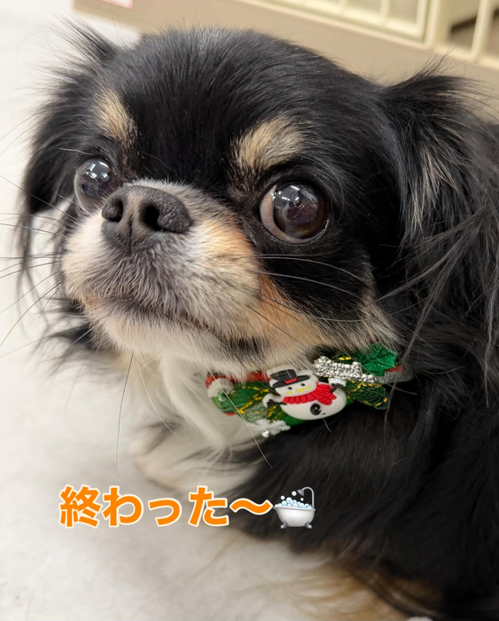 画像343