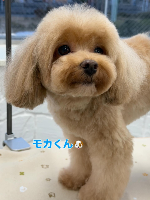 画像345