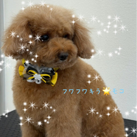 画像349