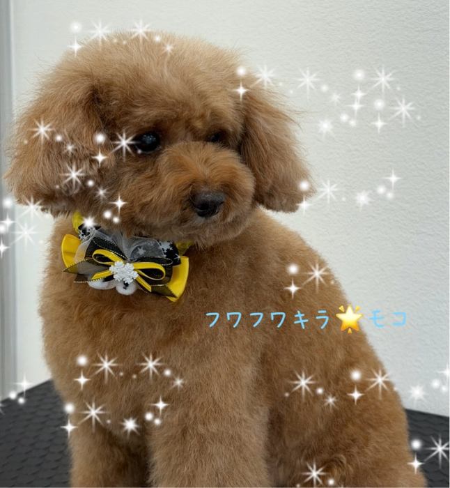 画像349