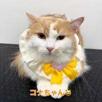画像354