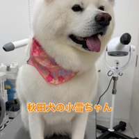 画像359
