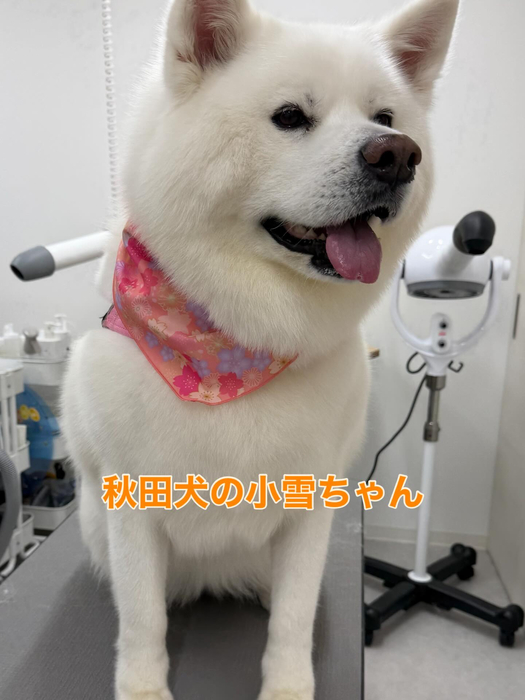 画像359