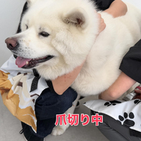 画像360