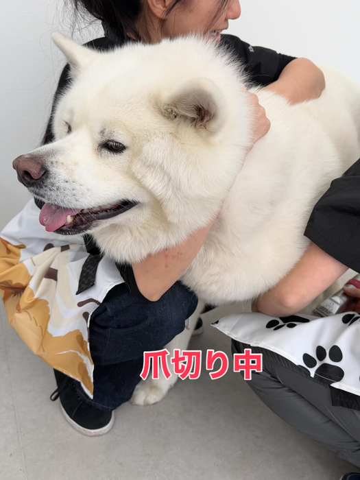 画像360