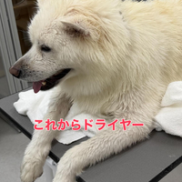 画像362