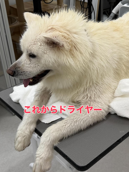 画像362