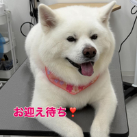 画像363