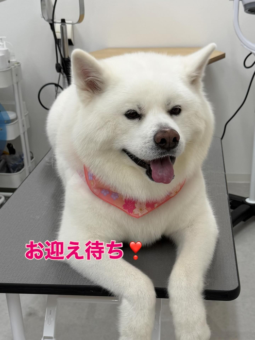 画像363