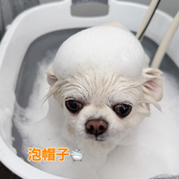 画像369