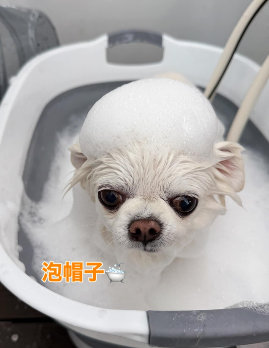 画像369