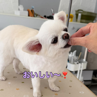 画像370