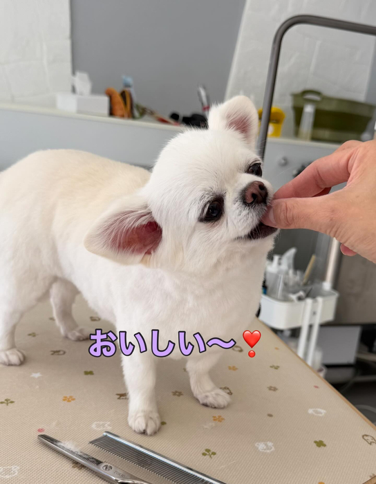 画像370