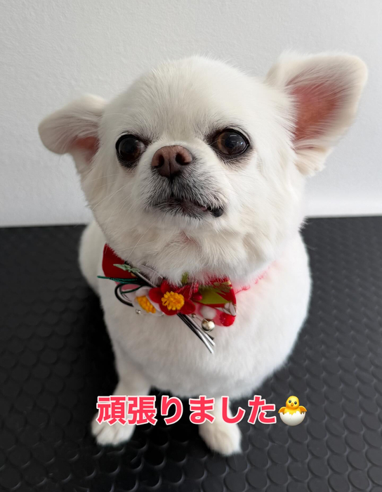 画像371
