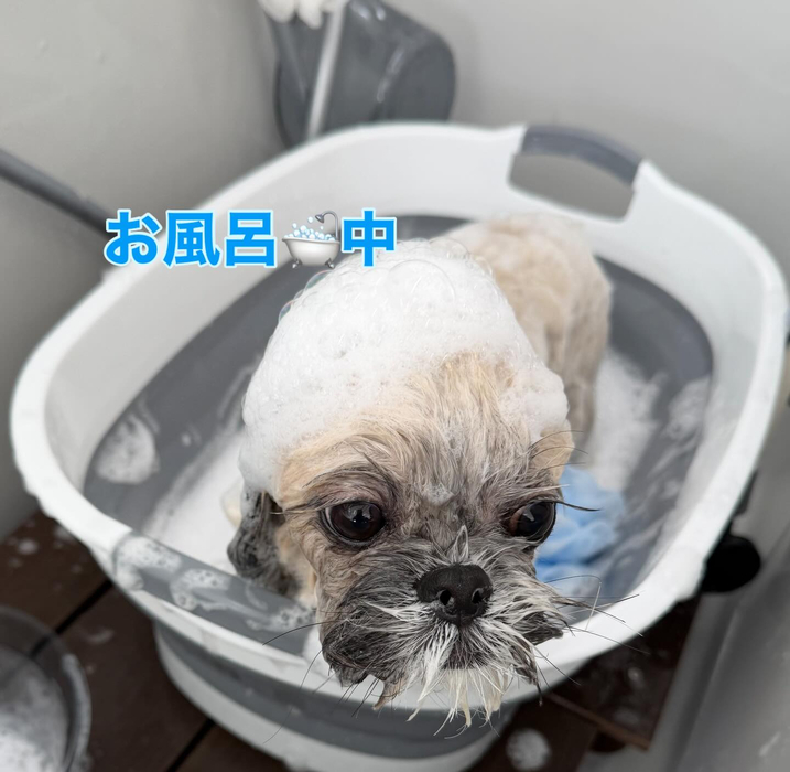画像373