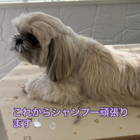 画像374