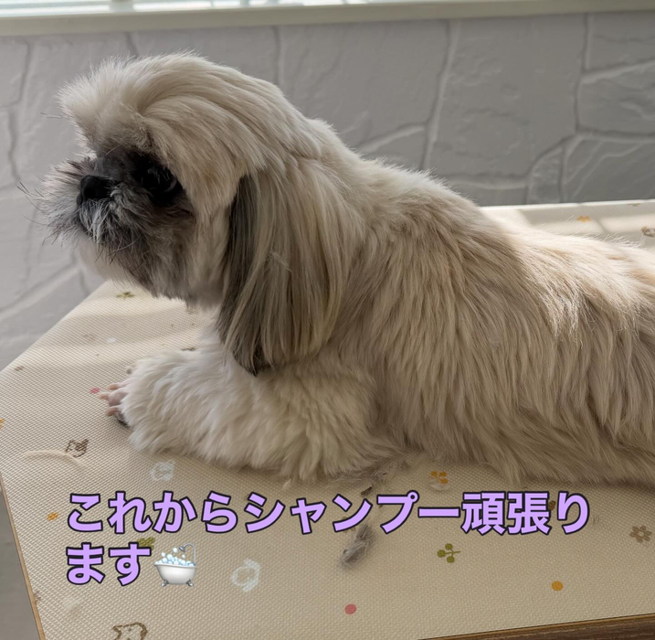 画像374