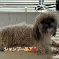 画像375